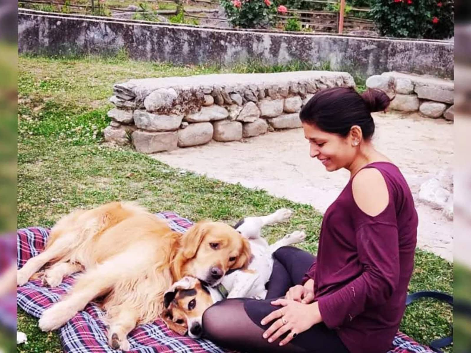Guest enjoying afternoon with dogs on the grass
